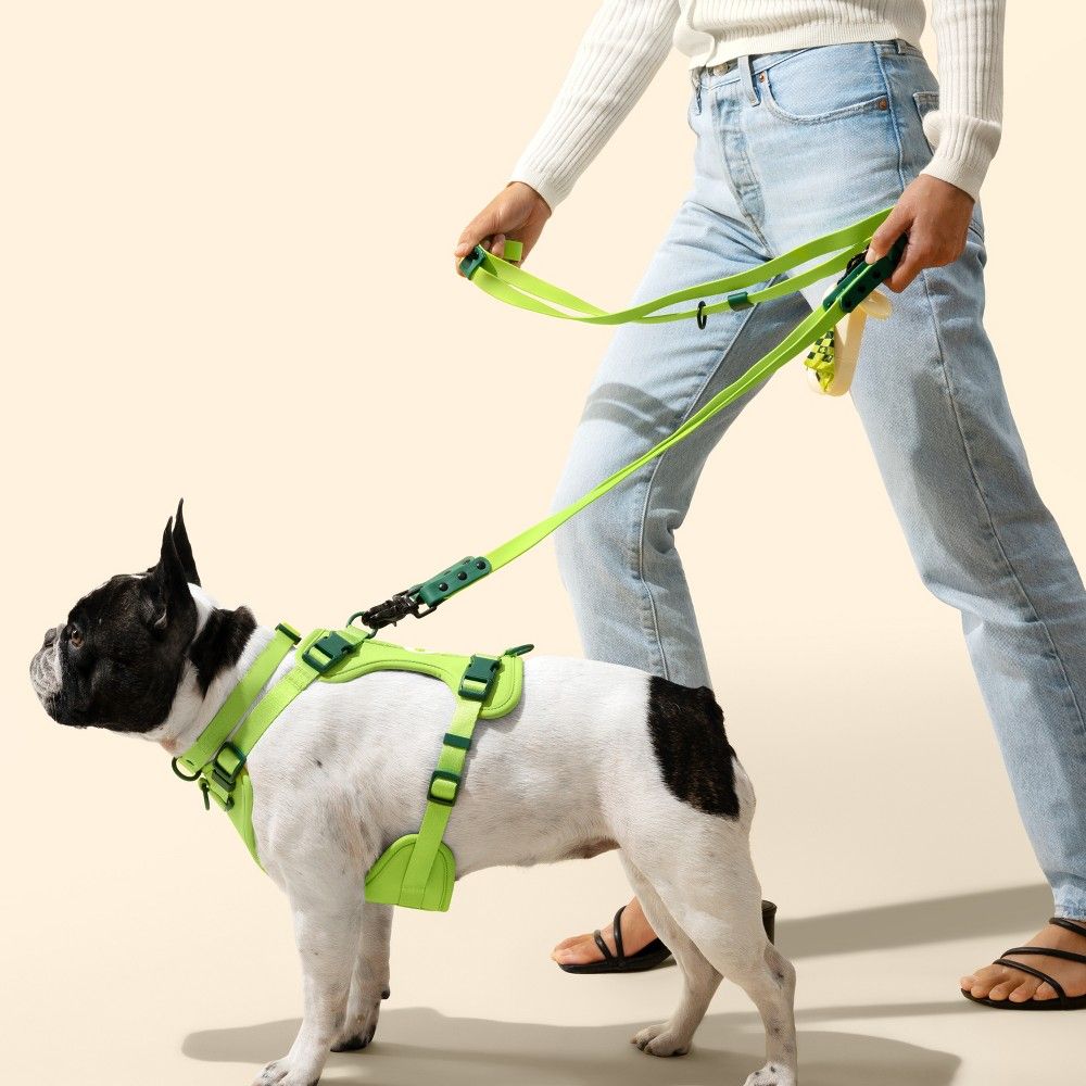 Complete Dog Collar Harness Leash Set Accessories