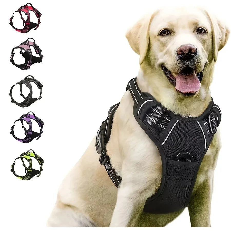Complete Dog Collar Harness Leash Set Accessories