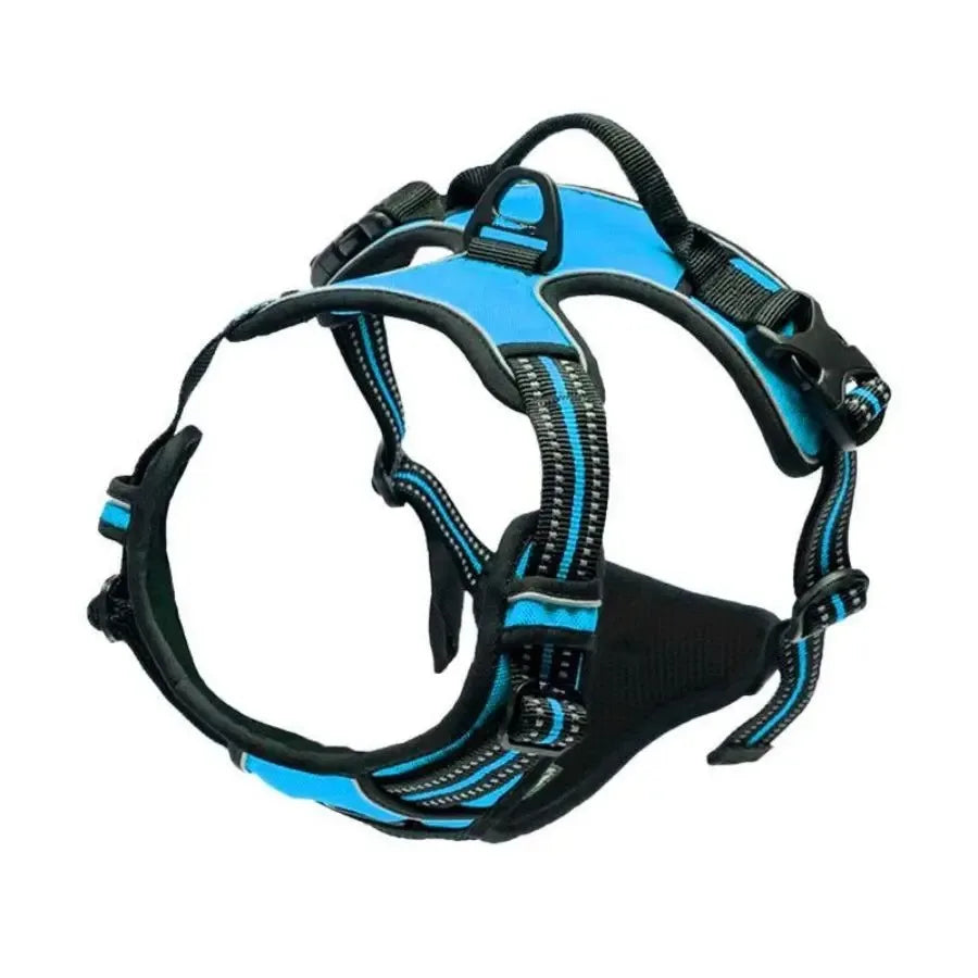 Complete Dog Collar Harness Leash Set Accessories