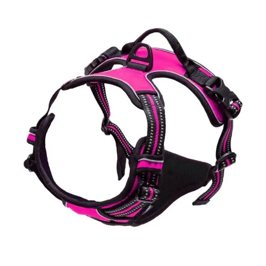 Complete Dog Collar Harness Leash Set Accessories