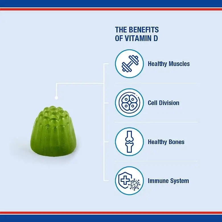 Lamberts Vitamin D3 1000 IU Gummies