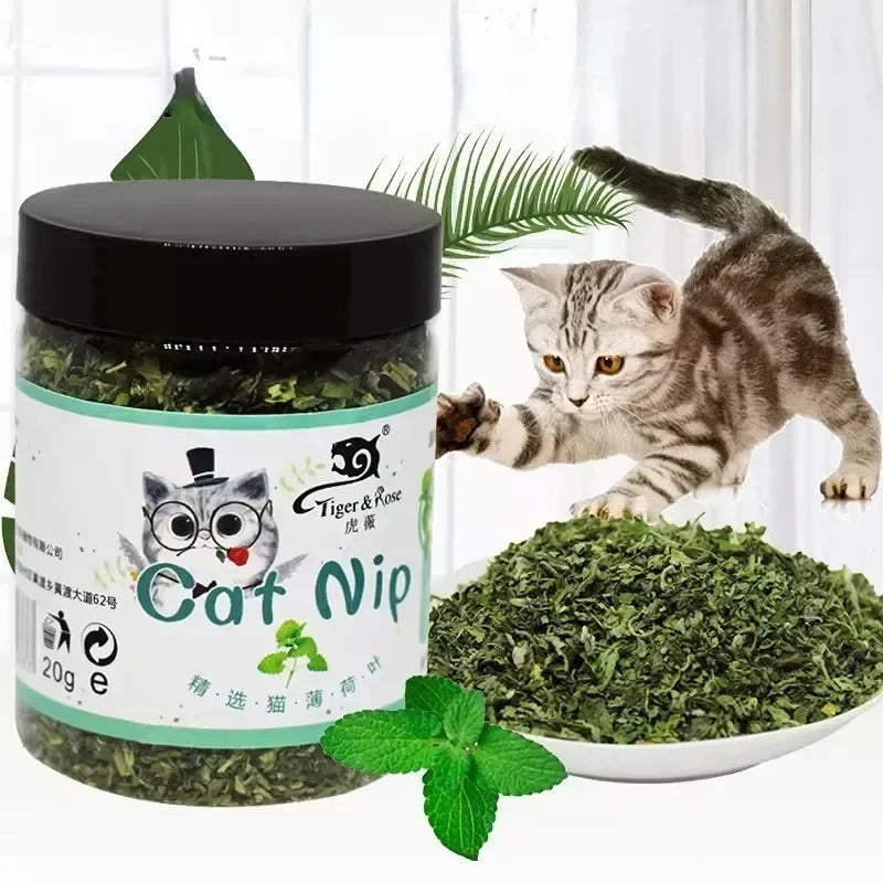 Organic Natural Catnip Interactive Cat Toy Grass Mint Mix