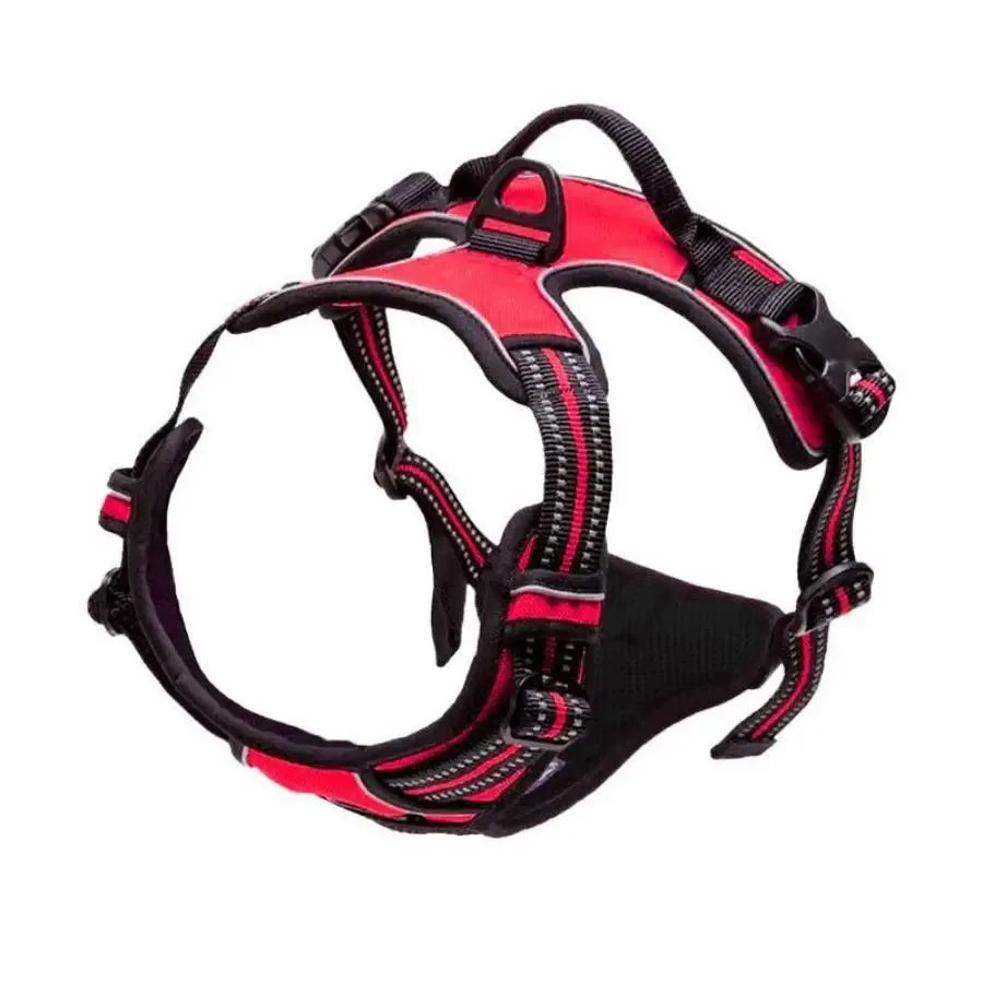 Complete Dog Collar Harness Leash Set Accessories