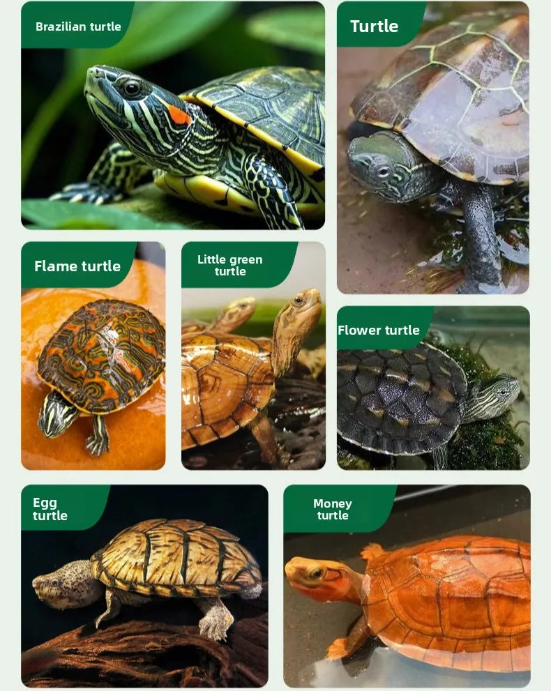 BIOZYM Turtle Food