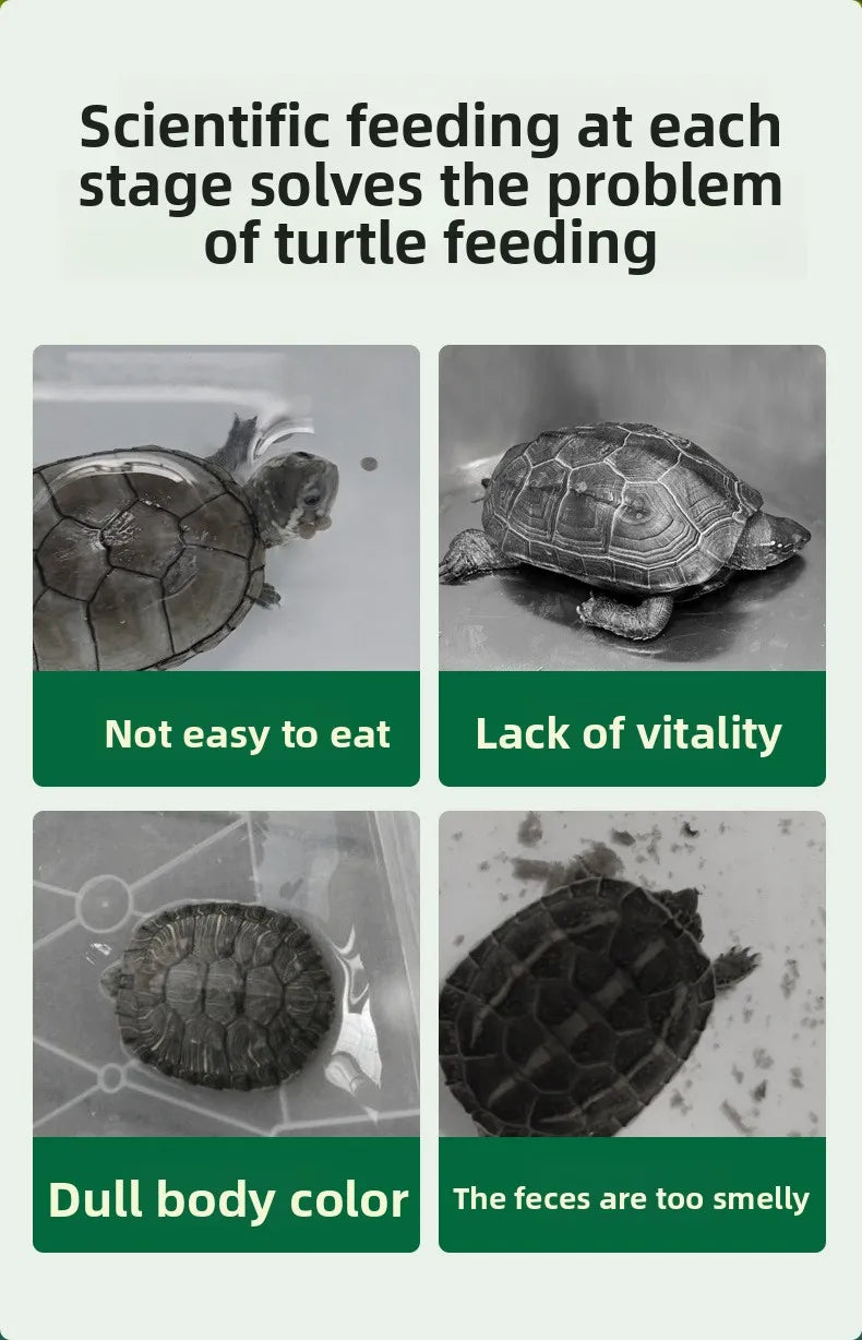 BIOZYM Turtle Food