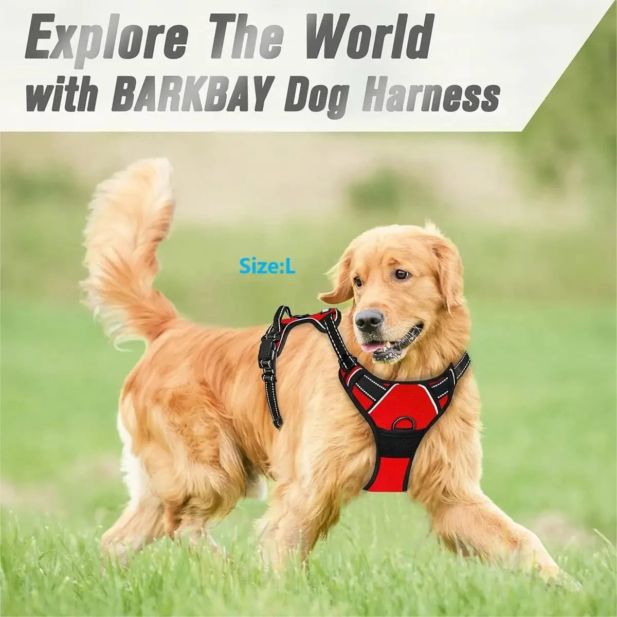 Complete Dog Collar Harness Leash Set Accessories