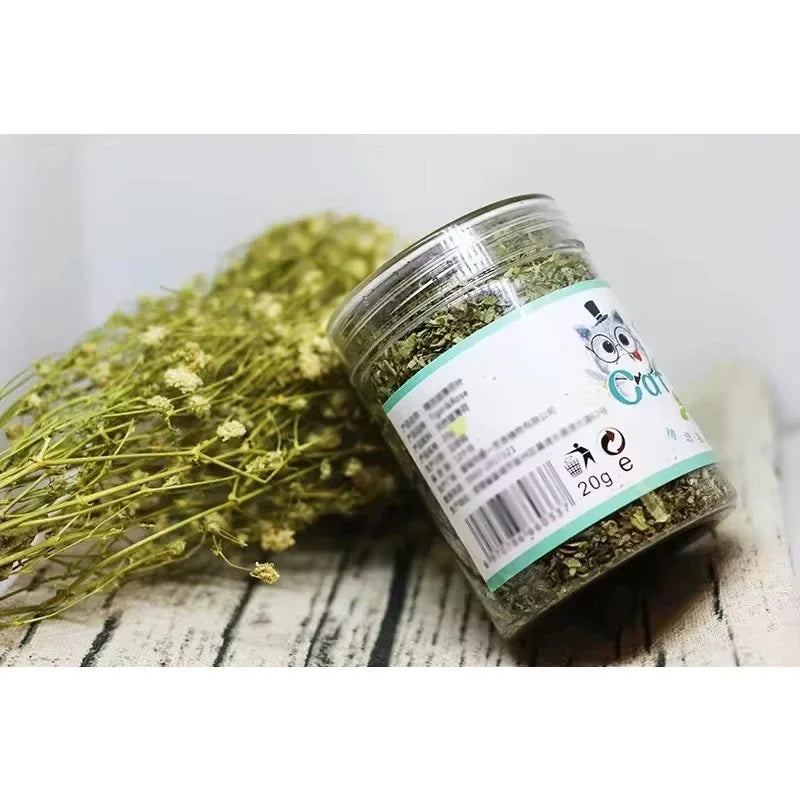 Organic Natural Catnip Interactive Cat Toy Grass Mint Mix