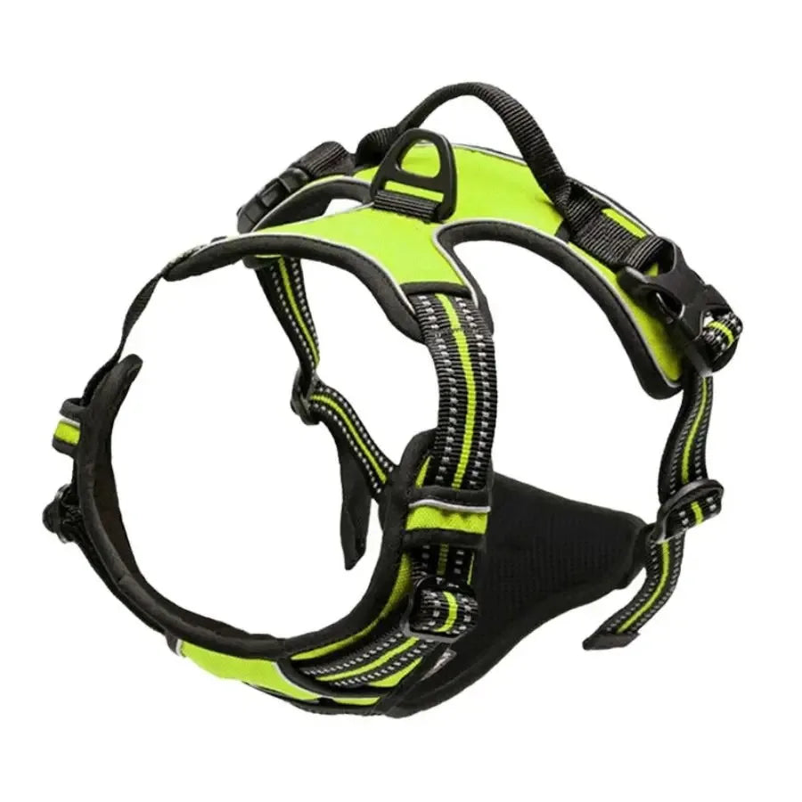 Complete Dog Collar Harness Leash Set Accessories