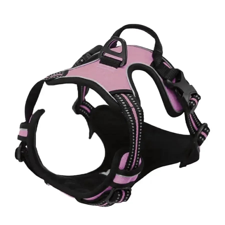 Complete Dog Collar Harness Leash Set Accessories