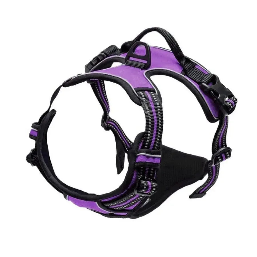 Complete Dog Collar Harness Leash Set Accessories