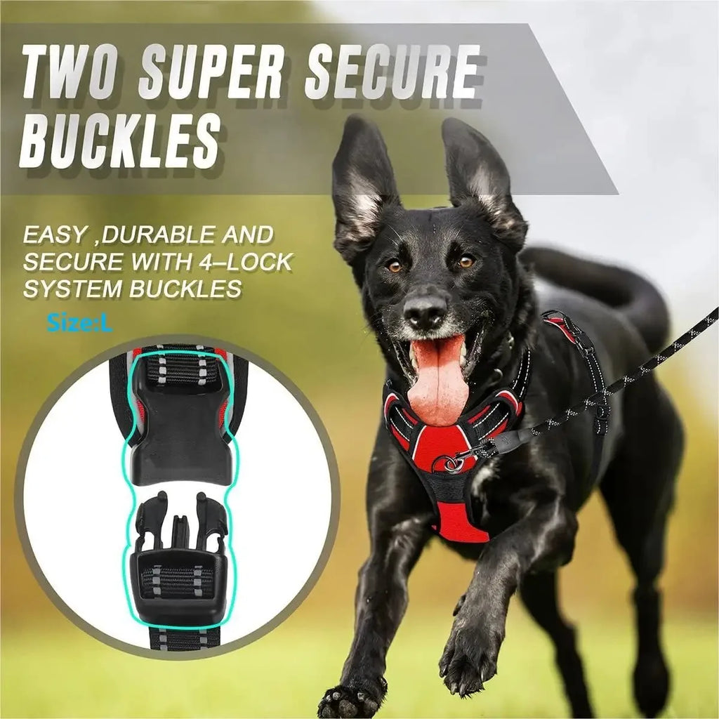 Complete Dog Collar Harness Leash Set Accessories