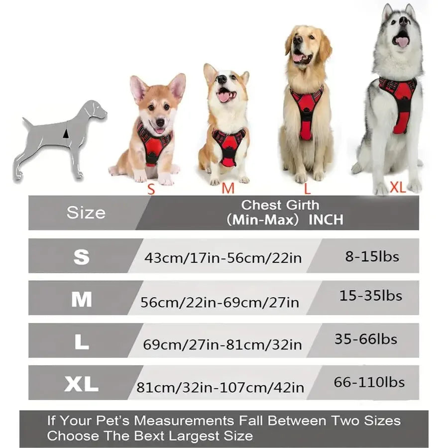 Complete Dog Collar Harness Leash Set Accessories