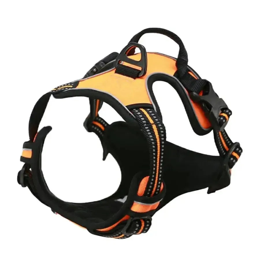 Complete Dog Collar Harness Leash Set Accessories