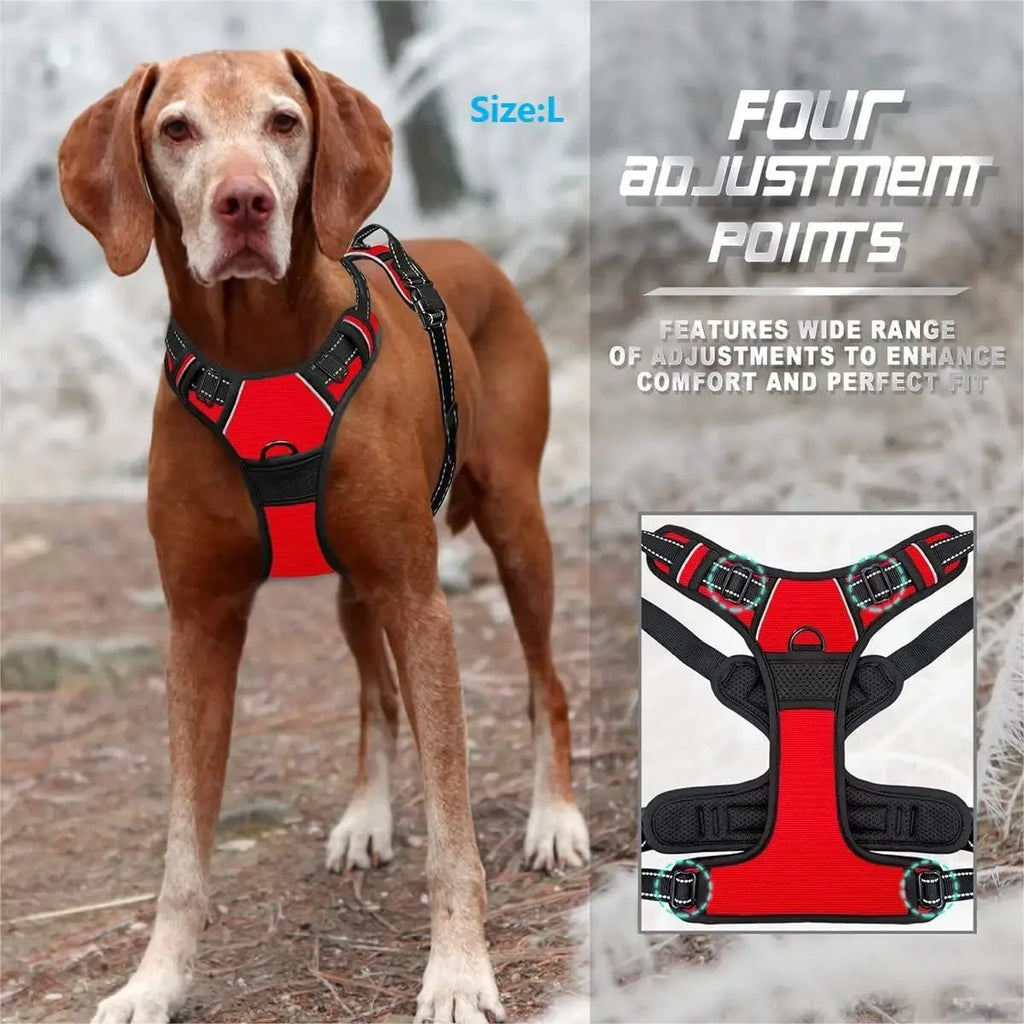 Complete Dog Collar Harness Leash Set Accessories