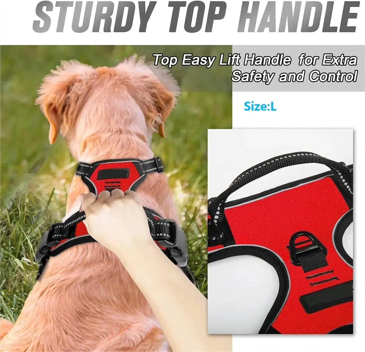 Complete Dog Collar Harness Leash Set Accessories