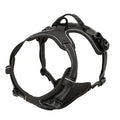 Complete Dog Collar Harness Leash Set Accessories