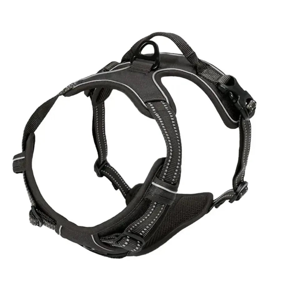 Complete Dog Collar Harness Leash Set Accessories
