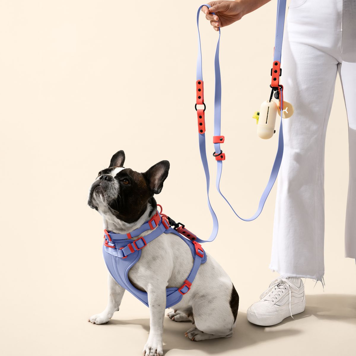 Complete Dog Collar Harness Leash Set Accessories